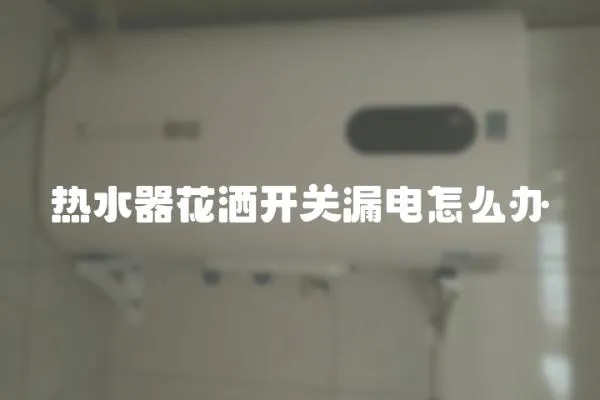 熱水器花灑開關漏電怎么辦