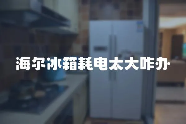 海爾冰箱耗電太大咋辦