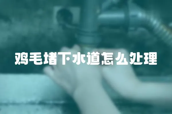 雞毛堵下水道怎么處理