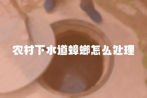 農村下水道蟑螂怎么處理