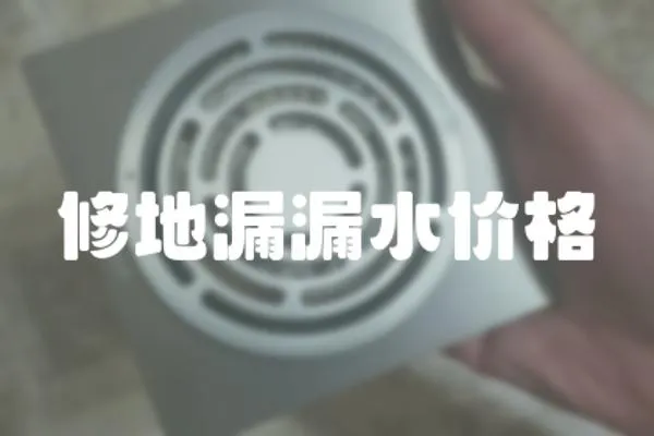 修地漏漏水價格