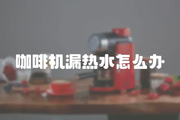 咖啡機漏熱水怎么辦