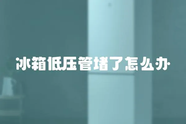 冰箱低壓管堵了怎么辦