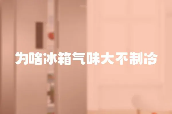 為啥冰箱氣味大不制冷