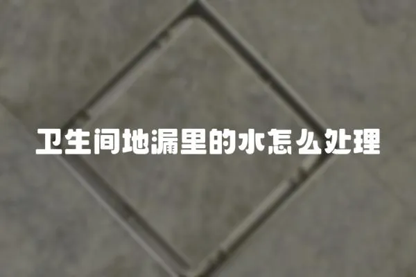 衛生間地漏里的水怎么處理