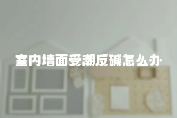 室內墻面受潮反堿怎么辦
