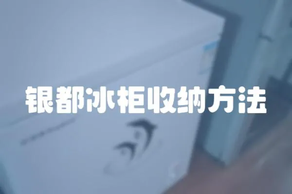 銀都冰柜收納方法