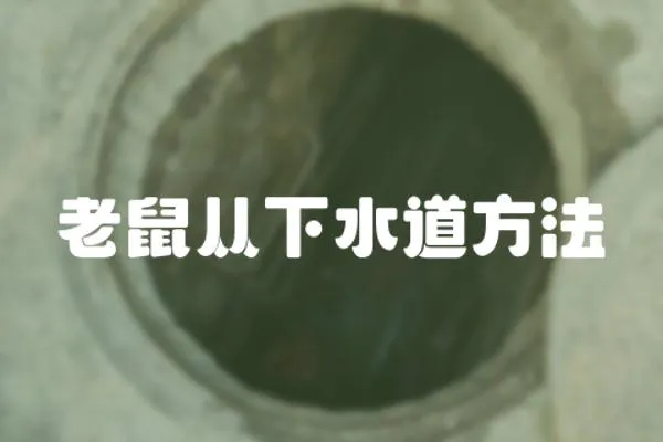 老鼠從下水道方法