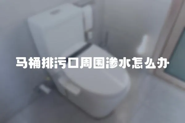 马桶排污口周围渗水怎么办