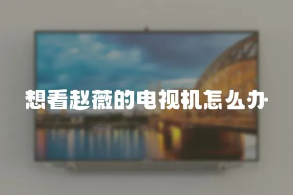 想看趙薇的電視機(jī)怎么辦