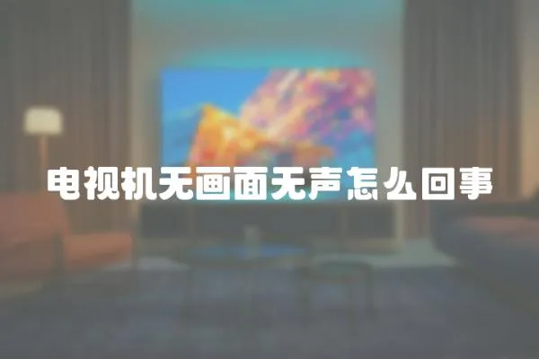 電視機(jī)無畫面無聲怎么回事