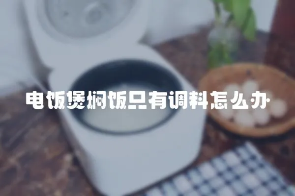 電飯煲燜飯只有調料怎么辦