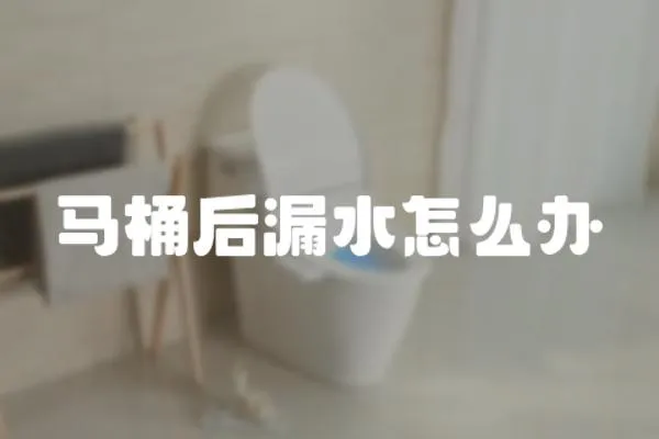 馬桶后漏水怎么辦