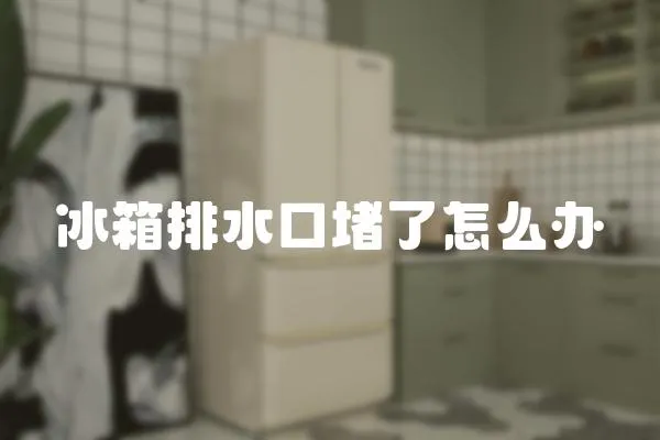 冰箱排水口堵了怎么辦