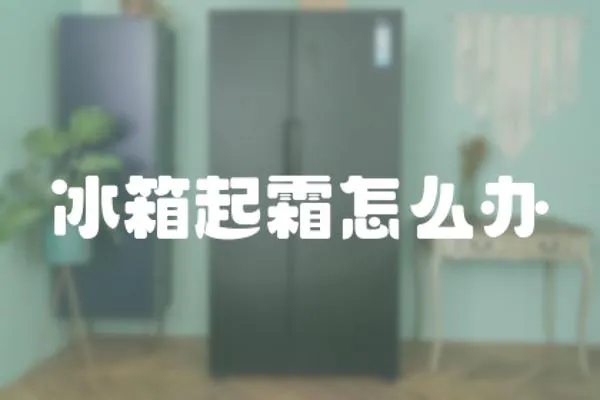 冰箱起霜怎么辦