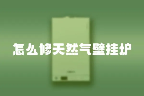 怎么修天然氣壁掛爐