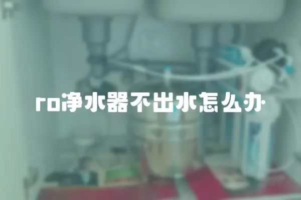ro凈水器不出水怎么辦