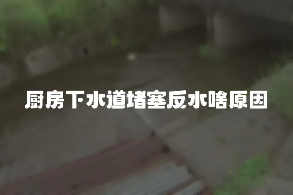 廚房下水道堵塞反水啥原因