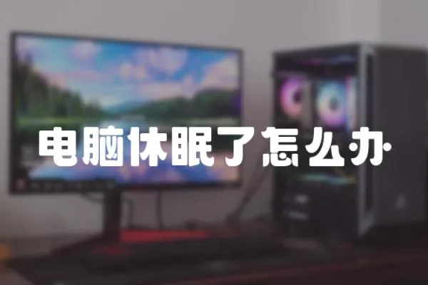 電腦休眠了怎么辦