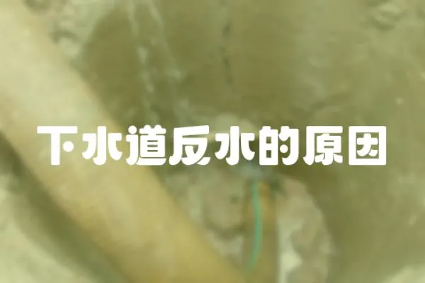 下水道反水的原因