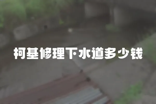 柯基修理下水道多少錢