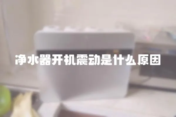 凈水器開機震動是什么原因