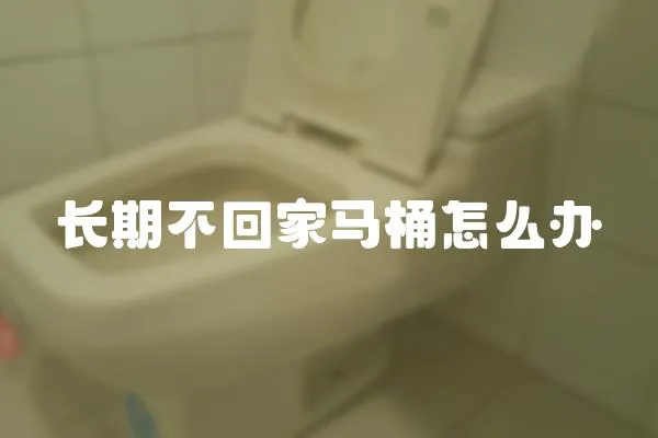 長期不回家馬桶怎么辦
