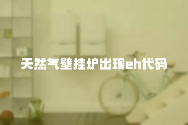 天然氣壁掛爐出現eh代碼
