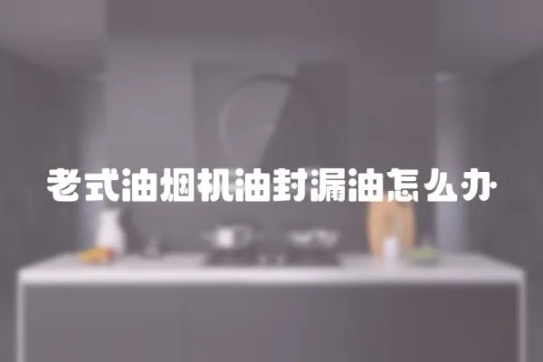 老式油煙機油封漏油怎么辦