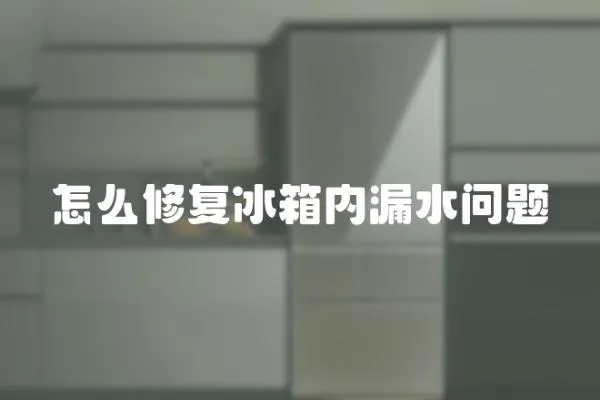 怎么修復冰箱內漏水問題