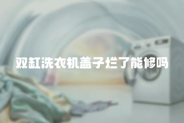 雙缸洗衣機蓋子爛了能修嗎
