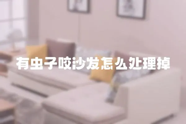 有蟲子咬沙發怎么處理掉