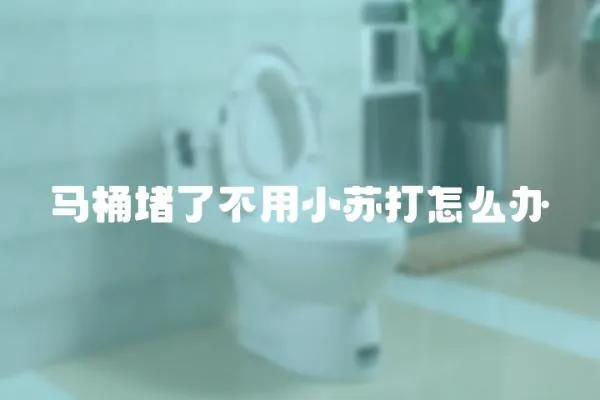 馬桶堵了不用小蘇打怎么辦