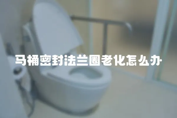 馬桶密封法蘭圈老化怎么辦