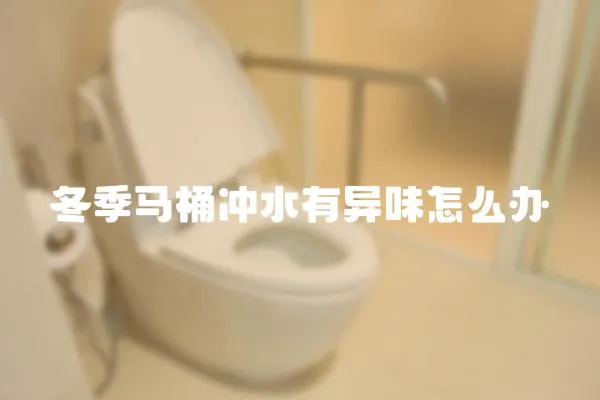 冬季馬桶沖水有異味怎么辦