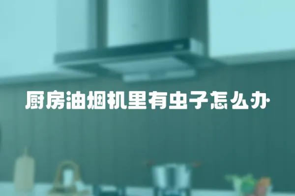 廚房油煙機里有蟲子怎么辦