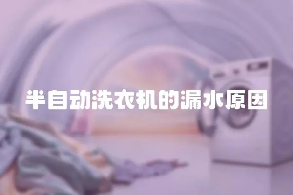 半自動洗衣機的漏水原因