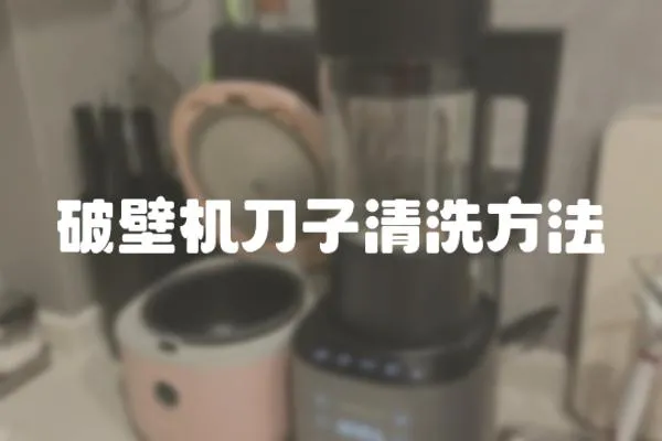 破壁機刀子清洗方法
