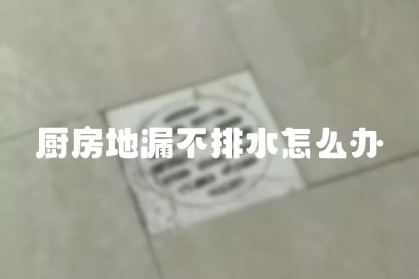 廚房地漏不排水怎么辦