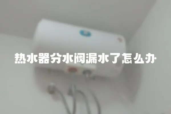 熱水器分水閥漏水了怎么辦