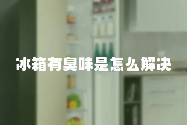 冰箱有臭味是怎么解決