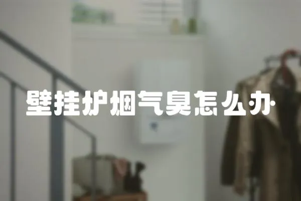 壁掛爐煙氣臭怎么辦