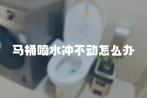馬桶噴水沖不動怎么辦