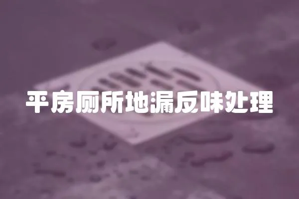 平房廁所地漏反味處理