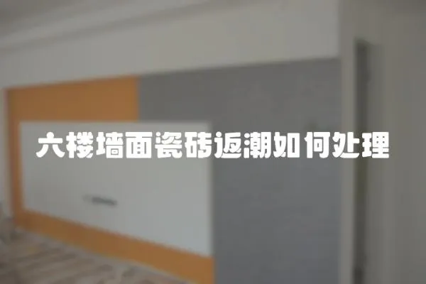 六樓墻面瓷磚返潮如何處理