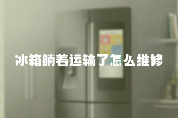 冰箱躺著運輸了怎么維修