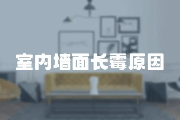 室內墻面長霉原因