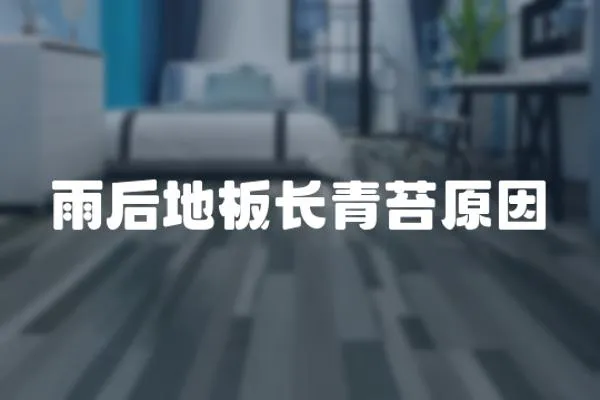 雨后地板長青苔原因