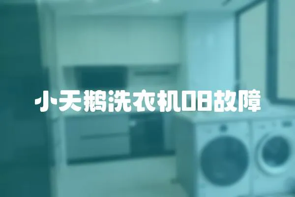 小天鵝洗衣機08故障