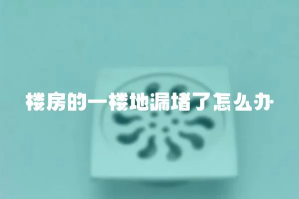 樓房的一樓地漏堵了怎么辦